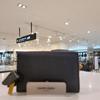 Mari Eclaire Gyeongsan Branch Highly Recommended Comfortable Cowhide Medium Wallet 210419