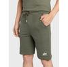 Спортивные шорты Alpha Industries Basic