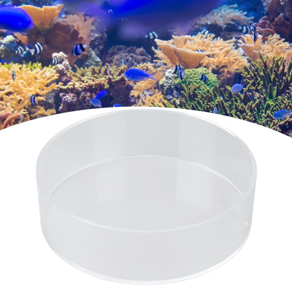 Coral Observe Lense Transparent Acrylic Fish   Cylinder Magnifier for Viewing Coral and Taking Pictures