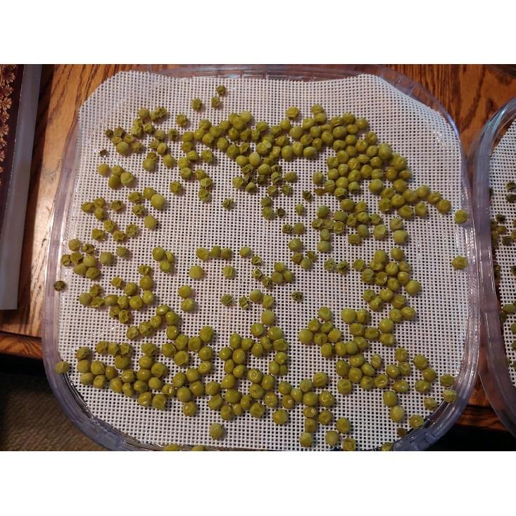 Silicone Dehydrator Sheets, Premium Non Stick Dehydrator Mats, Fruit Dryer Mesh for Food Dehydrator, 6pc, 12 x 13 inch