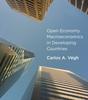 Книга Open Economy Macroeconomics In Developing Countries