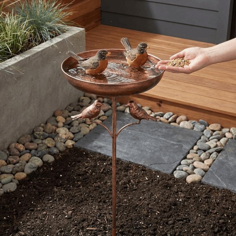 Standing Bowl Iron Bird Bath Feeder 5 Claw Ground Plug Bird Water Drinker  Lawn Backyard