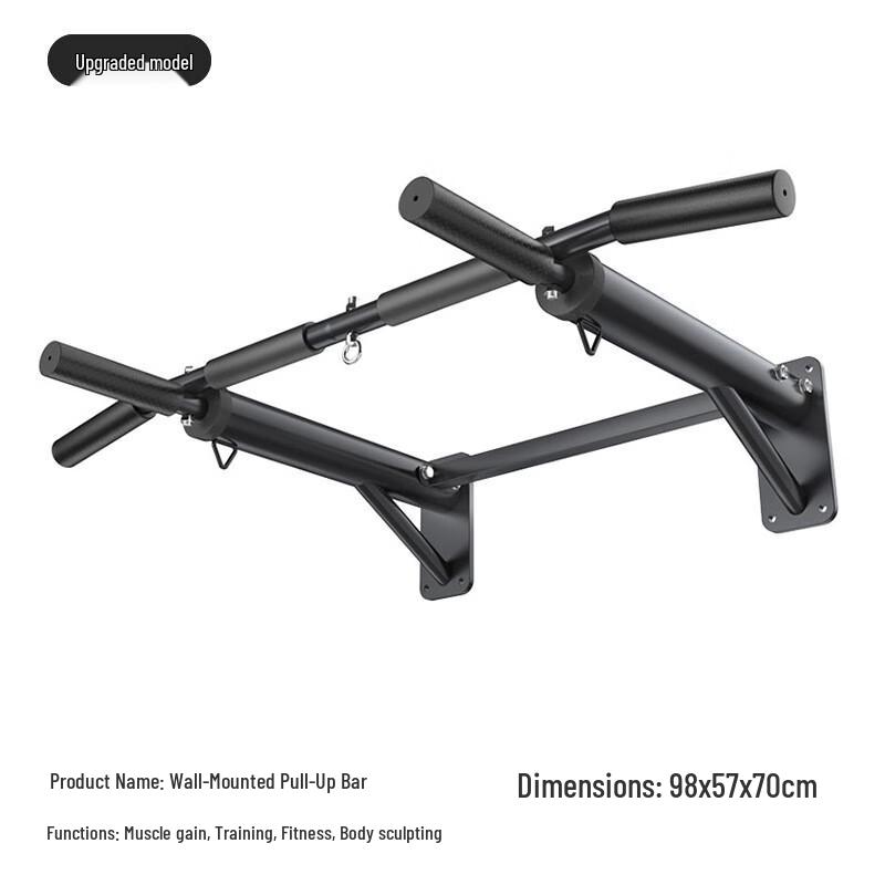 WEZHO Indoor Wall-Mounted Pull-Up and Dip Station