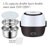 Mini Electric Rice Cooker Stainless Steel 2/3 Layers Steamer Portable Meal Thermal Heating Lunch Box Food Container Warmer