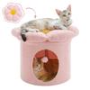 PAWZ Road Cat Cat Storage Sitting Cat Dog Dog Small Dogs and Multiple Interior Space With Pet Cat Toy Height M 1st Pink Bed, House, Dome, Chigura,