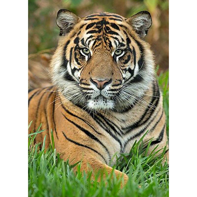 Новый 5D DIY алмазная живопись Тигр Алмазная вышивка животные пейзажи вышивка крестиком полная круглая дрель домашний декор ручной подарок