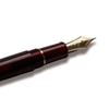 Платиновая перьевая ручка Century Burgundy Extra Fine Pen #3776 PNB-15000#71-5