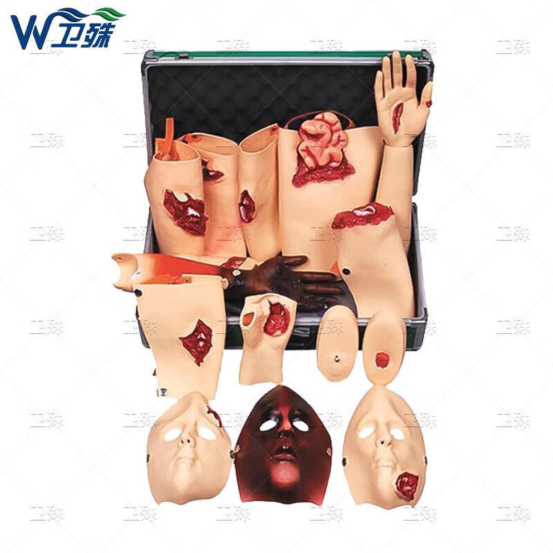 CPR and AED Training Manikin Kit