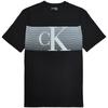 Calvin Klein Striped Size M [Calvin Klein] Men's Short-Sleeve T-Shirt, Logo, Black, [Used]