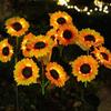Sunflower Solar Garden Light - Outdoor Yard and Lawn Decorative Atmosphere Lamp