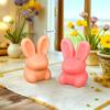 3D Силиконовые формы для свечей в виде кролика, Пасхальный кролик, Домашнее украшение, Форма для гипса, эпоксидной смолы, Спиральные принадлежности для изготовления свечей