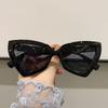New Fashion Cat Eye Sunglasses Female Luxury Brand Designer Sun Glasses for Women Travelling Sun Shades Glasse Y2k Gafas De Sol