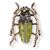 1PC Vintage Big Beetle Insect Brooch Enamel Animal Badge Corsage Pins  Gift