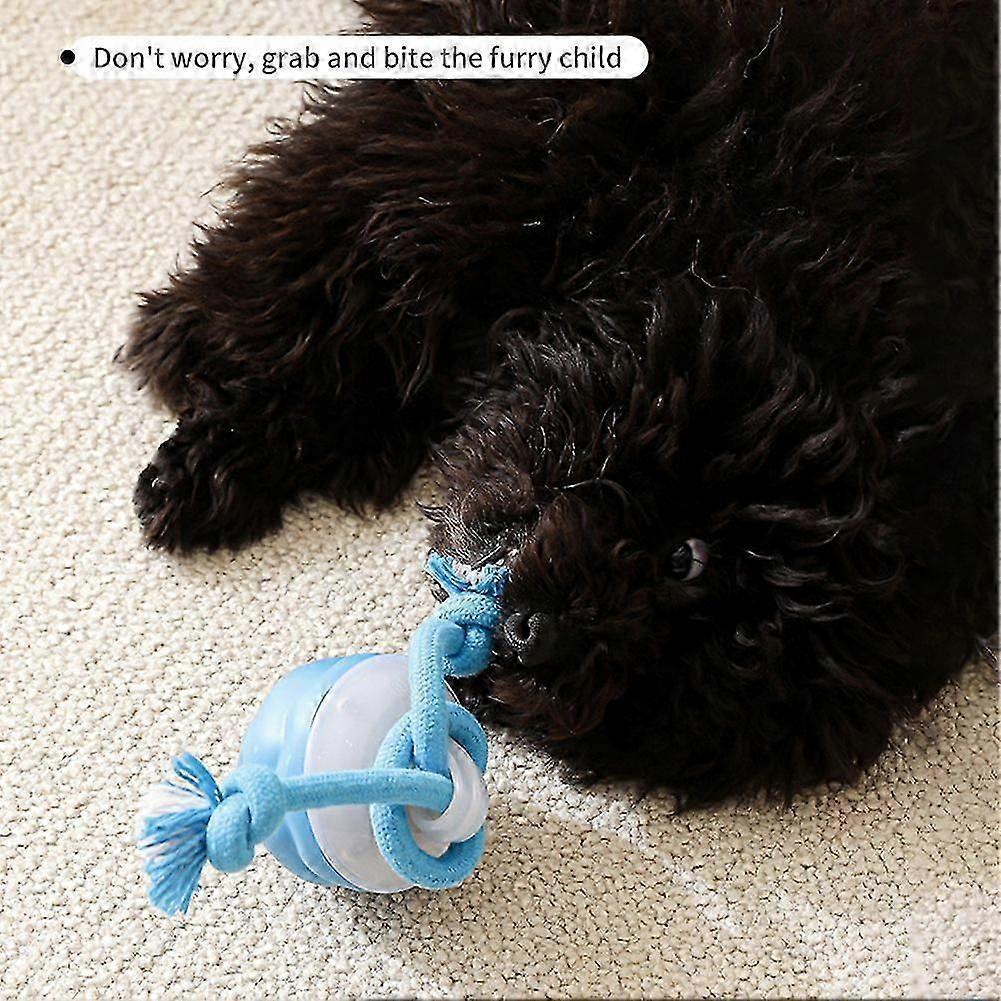 Interactive Dog Toys Ball for Boredom Active Rolling Ball with Tail for Dogs Indoor Training Toy