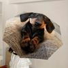 1pc Dachshund Paws Umbrella with Plastic Handle,Suitable for All Seasons Home Travel Outdoor UmbrellaDD1755