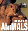 Книга Baby Animals : Minicube