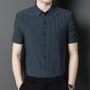 Summer Middle-Aged Men's Shirt Fashion Polo Collar Men's Short-Sleeved Shirt Striped Casual Slim Fit Men