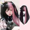 Synthetic Wig Double Spell Color Long Straight Girl Sweet And Spicy Girl Group Style Y2K Girl Lolita Long Ltraight Hair