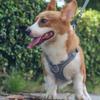 Commli Reflective Mesh X-Type Harness Set for Dogs, Gray