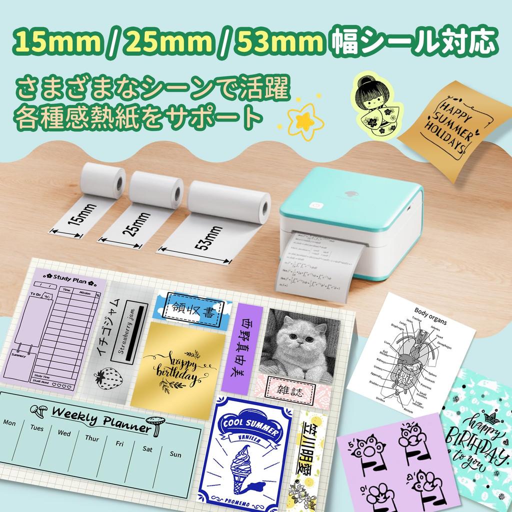 Phomemo P2S Thermal Mini совместим с 3 рулонами термобумаги HD Подарочная наклейка Мобильная монохромная наклейка Карманный Bluetooth Для дома Для дома