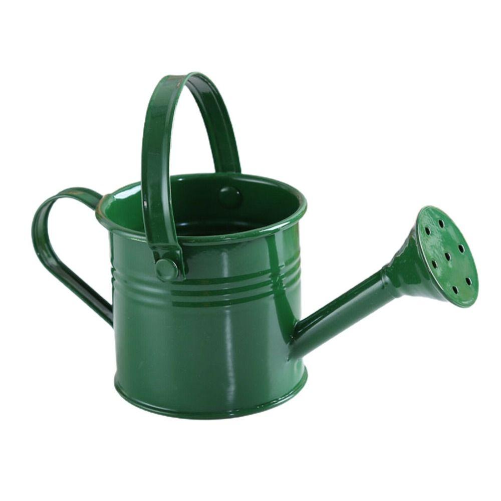 Large Capacity Mini Metal Watering Can Thickened Sprinkler Durable Water Spraying Pot  Gardening