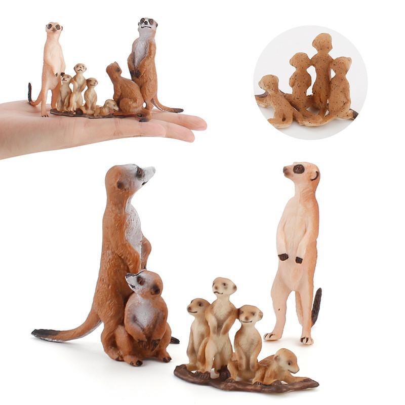 Realistic Pvc Mongoose Animal Model Toy For Kids Learning Decorations Gifts