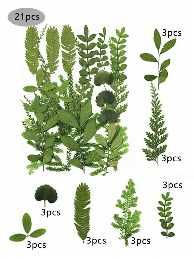 84 шт. сушеных листьев, прессованные цветы с пинцетом для форм из смолы, настоящая натуральная ассорти из сухой зелени для поделок, мыла, свечей, украшений для скрапбукинга