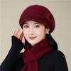 "Autumn/Winter Plush Rabbit Fur Hat & Scarf Set for Middle-Aged/Elderly: Warm, Windproof Knit with Gloves"