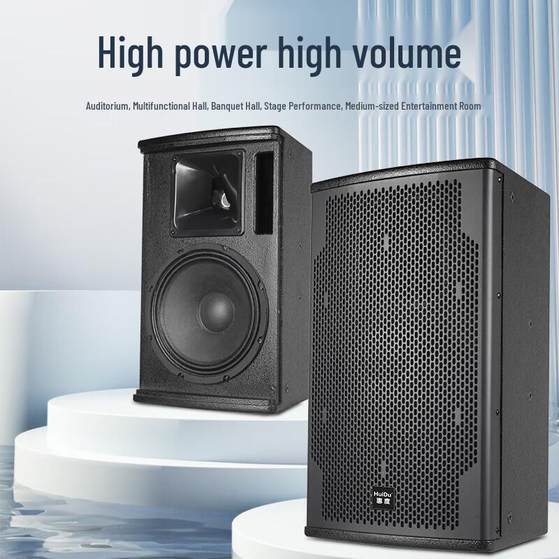 HuiDu HZ-10 Professional Full-Range Speaker
