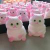 Мультяшная имитация кошки Игрушки-сквиши Медленно восстанавливающаяся кошка Игрушка-непоседа Сенсорные игрушки