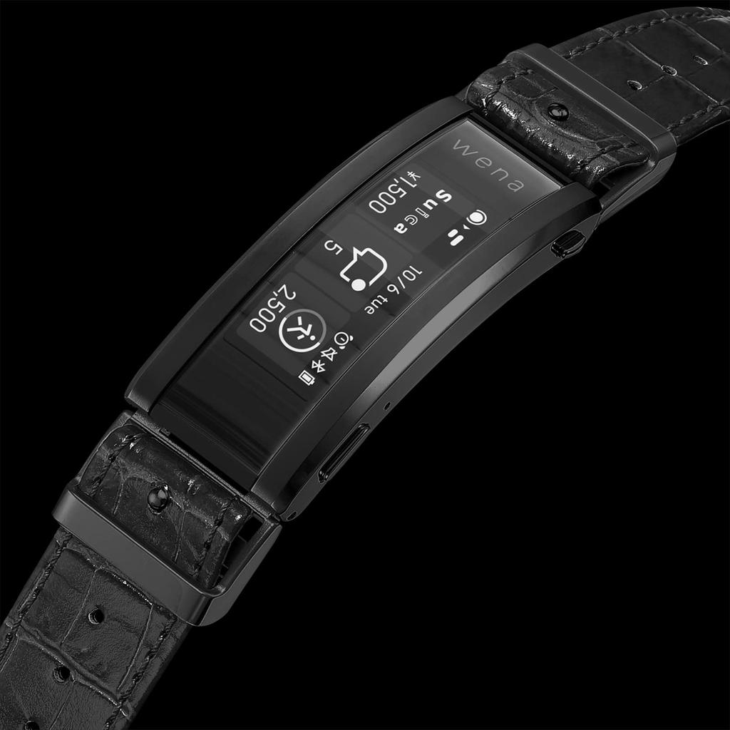 Часы Ограниченное производство BRADNER wena3 42MM Bradner Wena3 Black [Спинникер] SP-5062-WN-04 Мужские [Товар]