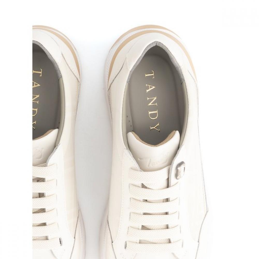 Tandy Men S caSual SneakerS Q26022 Ivory