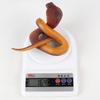 Python Cobra Snake Action Figures Soft TPR Simulation Snake Rattlesnake Model  Halloween Trick