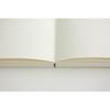 DESIGNPHIL MIDORI MD Notebook Shinsho Size, Blank Pages A15290006, Ideal for Writing and Sketching
