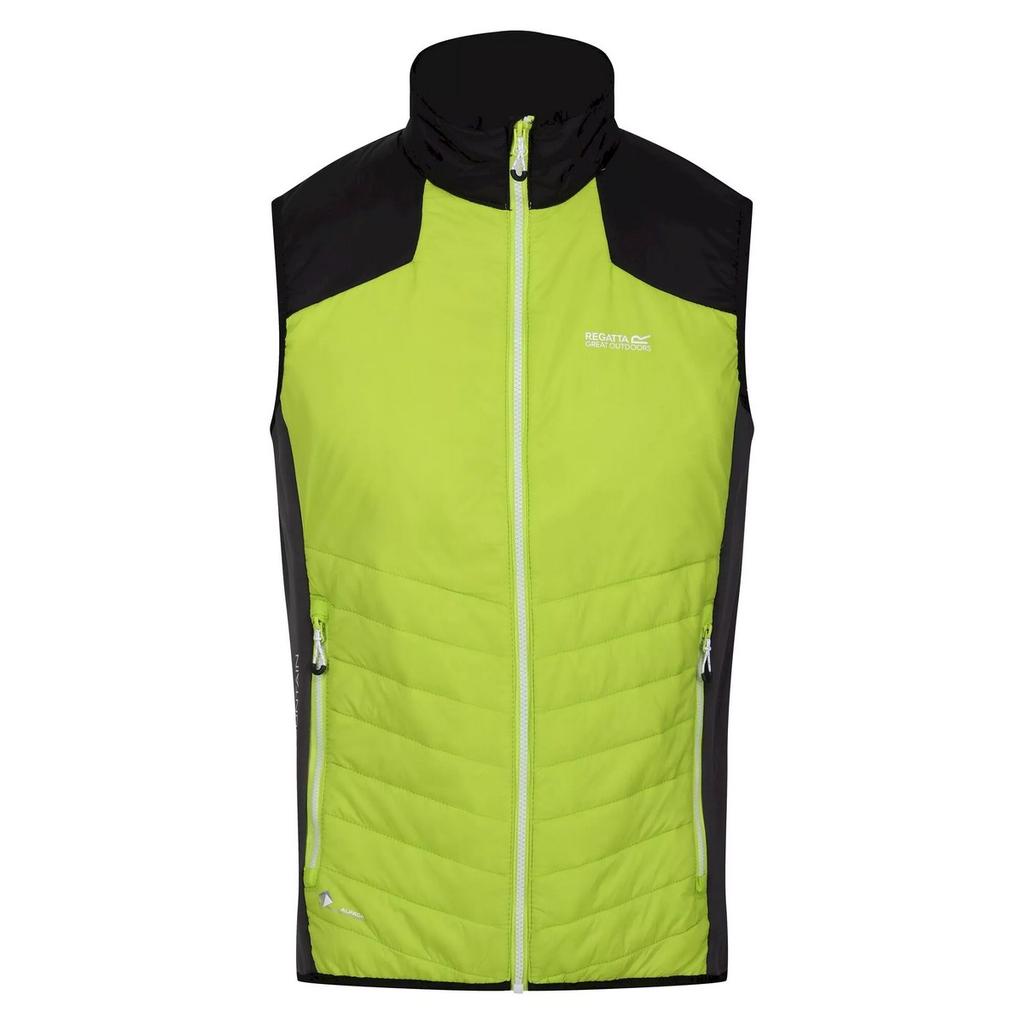 Regatta Mens Halton VI Lightweight Body Warmer