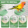 3Pcs Beak Grinder for Birds: Parakeet Beak Grinding Stone&Nail Trimming Perch-Flat Perches for Bird Cages,Budgie Cage Accessories