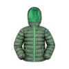 Childrens/Kids Seasons Dinosaur Padded Jacket
