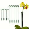 5-Pack Flexi Plant Adjustable Plastic Plant Support Stakes with Secure Support Ring Versatile Garden Stakes for Indoor Plants