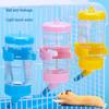 Hamster, Rabbit, and Guinea Pig Water Bottle - Small Pet Supplies