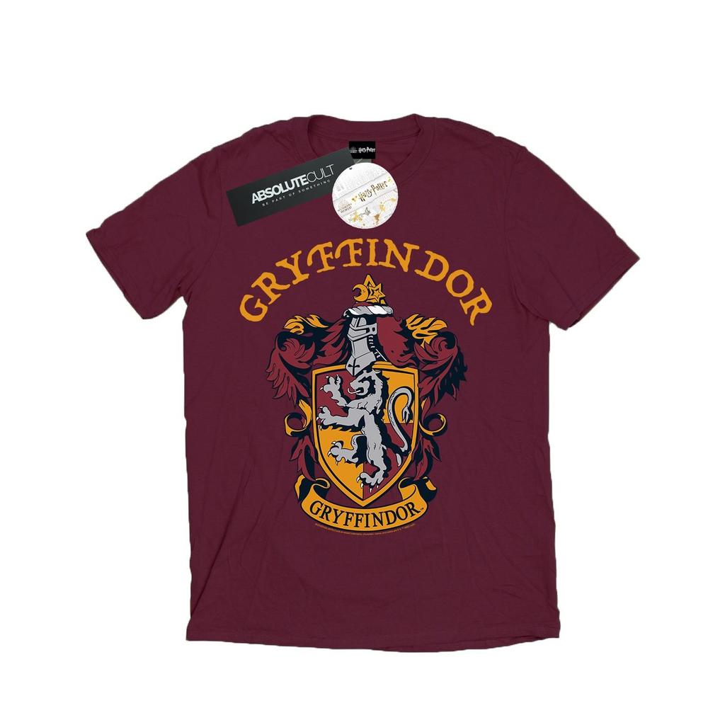 HARRY POTTER Футболка с гербом Гриффиндора для мальчиков