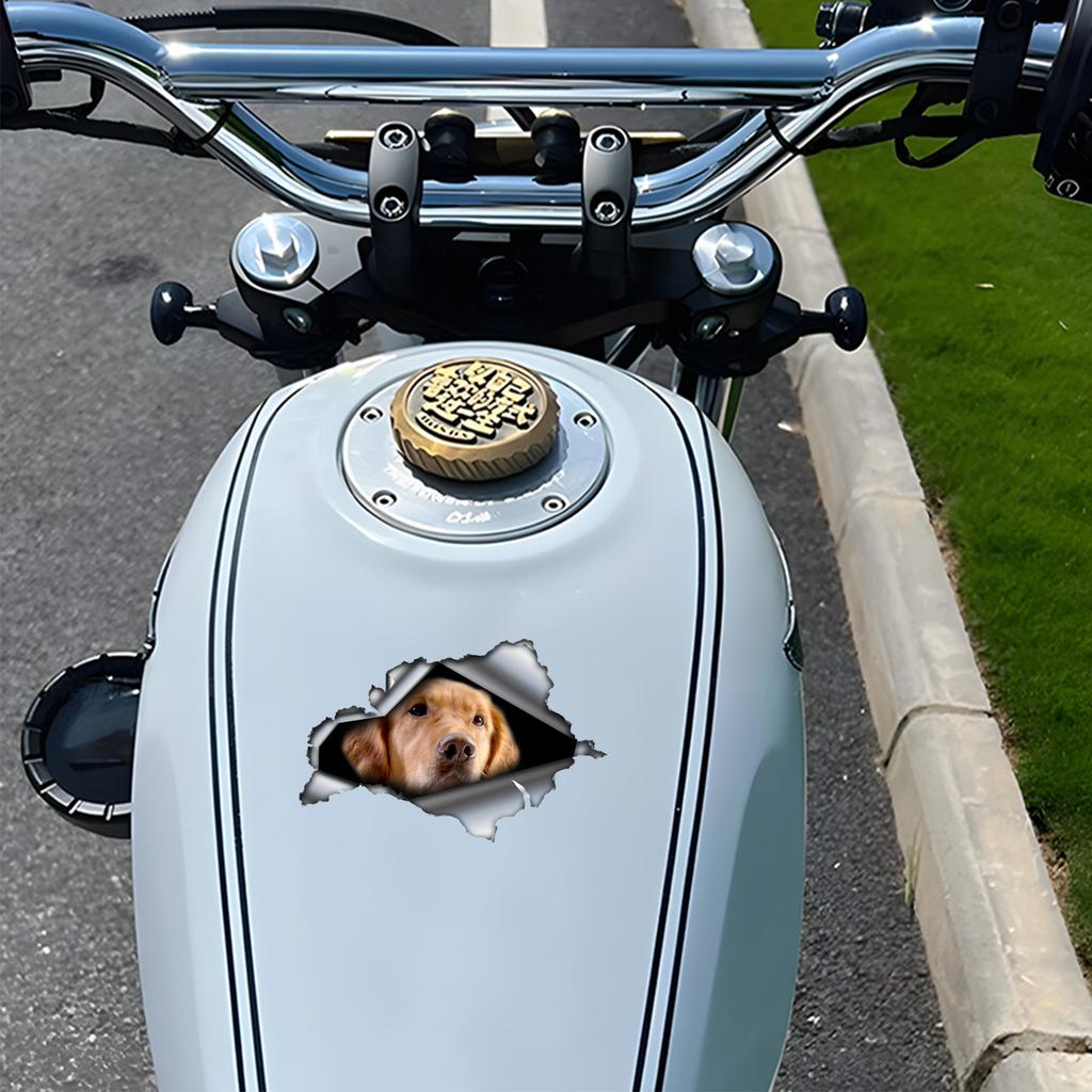 Golden Retriever 3D Vinyl Car Sticker, Fun Insurance Bumper Sticker for Cars, Trucks, Motorcycles, Walls, Windows, PVC Material