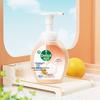 Dettol Пена Антибактериальное Мыло для Рук