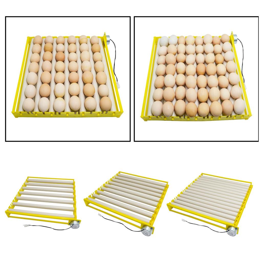 Plastic Egg Incubator Tray Accessories Automatic Egg Turner Duck Quail 220V
