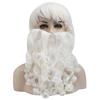 Beard+wig set