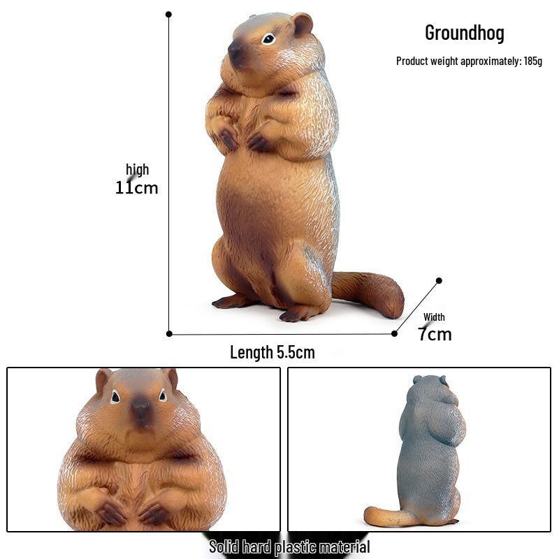 Children's Cognitive Rodent Simulation Toy: Chipmunk, Marmot, Squirrel, Guinea Pig Models