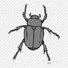 Beetle Bug June Iron On Heat Transfer Printing Vinyl Patches Sticker for Clothes DIY Appliques Washable Patches