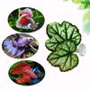 Betta Fish Leaf Pad Aquarium Decor Stress Relief Privacy Enhancing Realistic Resting Bed Hammock Simulating Habitat Easy To Clean High Simulation