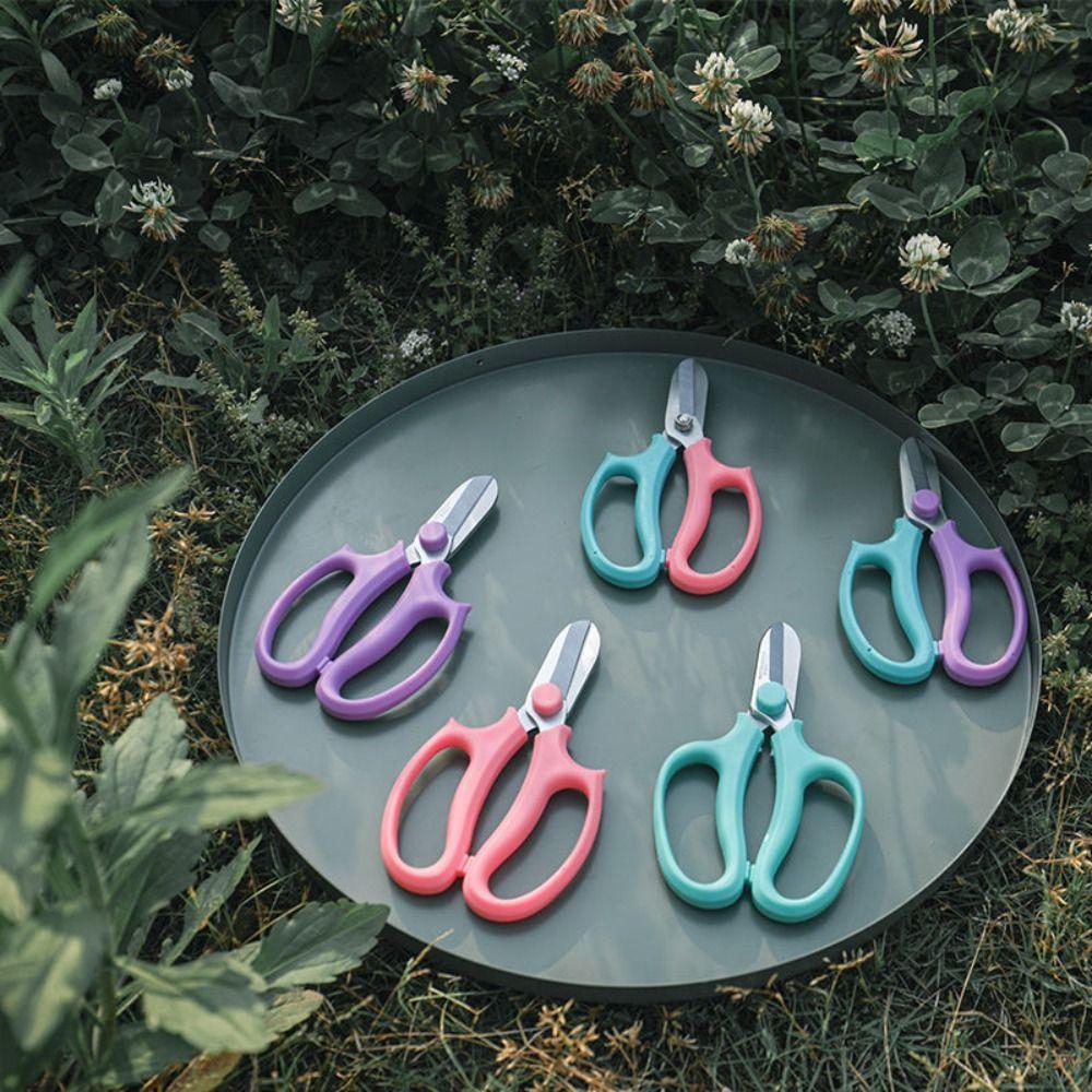 Pink Garden Pruning Shears Blue Garden Scissors Fishing Tool Floral Scissors Garden Pruners