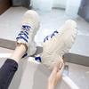 Mesh Dad Shoes Women's Ins Tide 2025 New Spring Student Wear-resistant Thick-soled Heightening Casual Sports Shoes