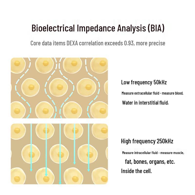 Умные весы Xiaomi Mi S400 Pro для измерения состава тела